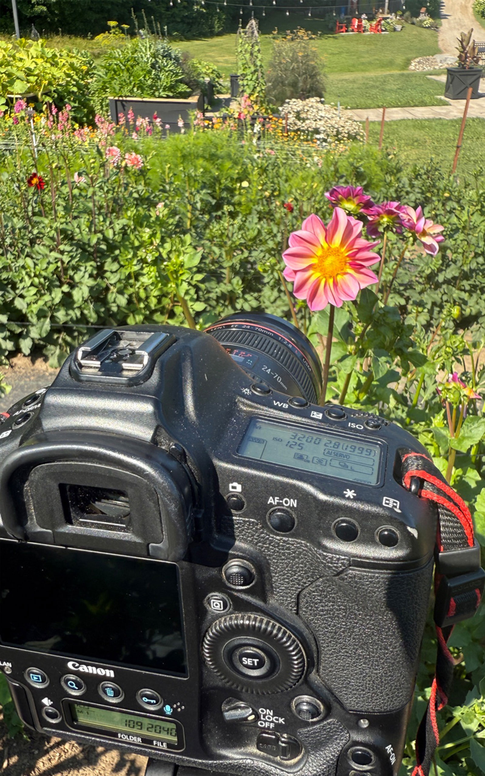 photography tip videos