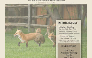 Cover of Patty Presents photography newsletter featuring a red fox in a field and highlights of photography tips, classes, and camera guide