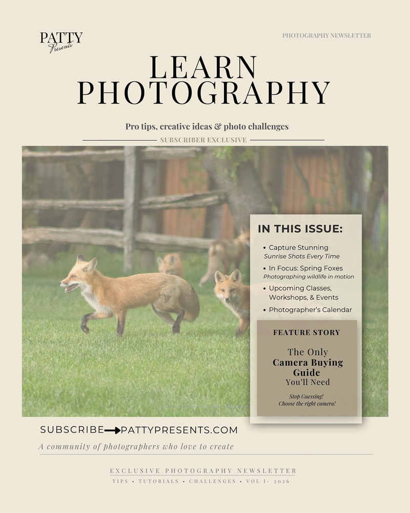 Cover of Patty Presents photography newsletter featuring a red fox in a field and highlights of photography tips, classes, and camera guide
