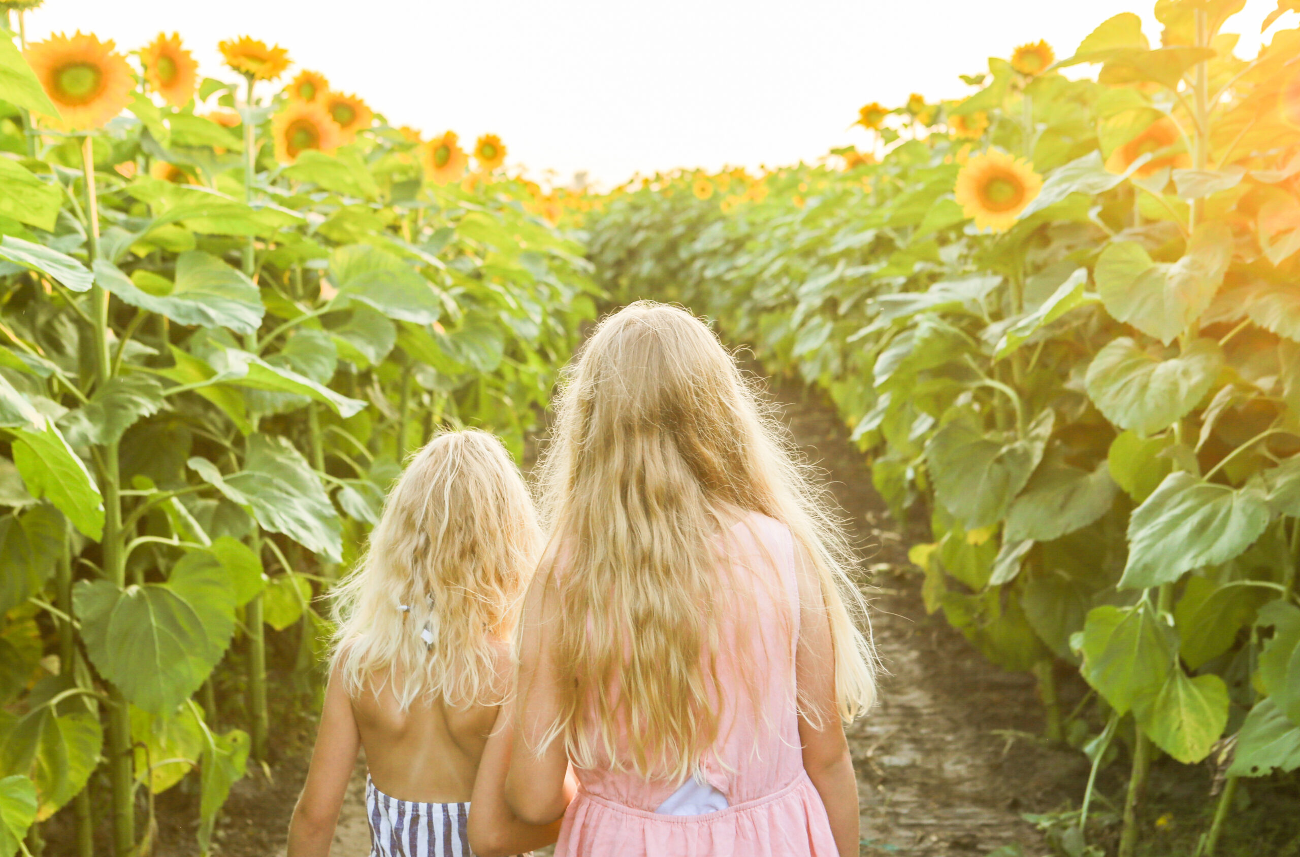 two girls playing in a sunflower field